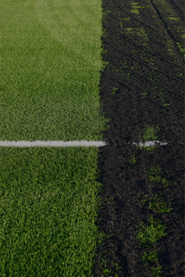 01-erba-campo-sportivo-600x900-1.jpg