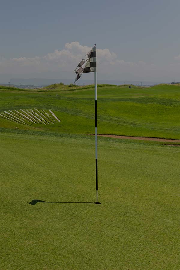 campo-da-golf-600x900-1.jpg