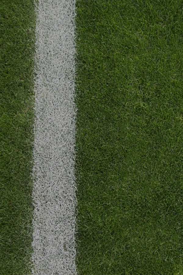erba-campo-sportivo-600x900-1.jpg